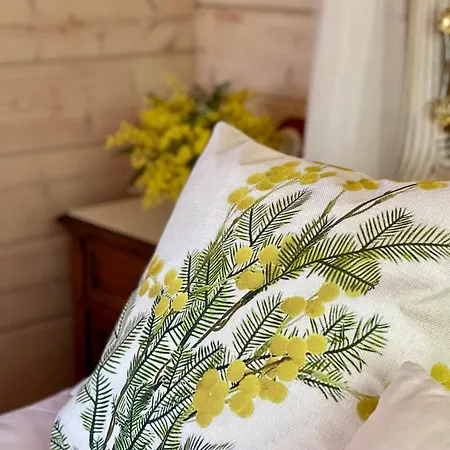 Apartment Cabana Romantica Colantres